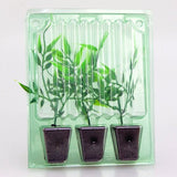 Pacco per ordine postale per 3 tappi 36x36x45mm (conico).