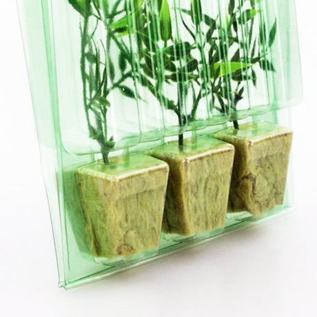 Pacco per ordine postale per 3 tappi 36x36x45mm (conico) - Confezione da 500 pz