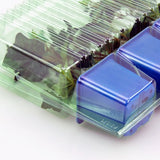 Pacco per ordine per corrispondenza contenente 3 piante in vasi di 7x7x6 cm.