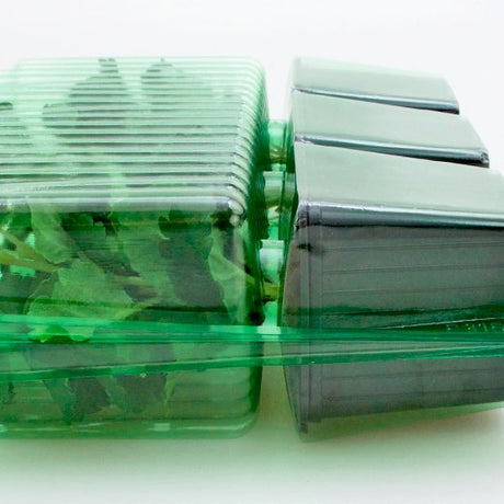 Pacco per ordine per corrispondenza contenente 3 piante in vasi di 8x8x7 cm - Confezione da 250 pz