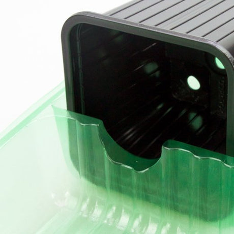 Pacco per ordine per corrispondenza contenente 3 piante in vasi di 8x8x7 cm - Confezione da 250 pz