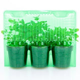 Pacco per ordine postale per 3 piante in vaso ø13x12cm.