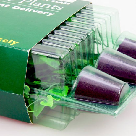 Pacco per ordine postale per 3 tappi ø55x55mm (conico) - Confezione da 300 pz