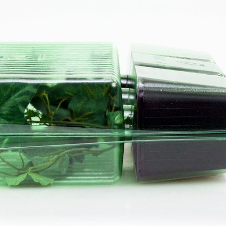 Pacco per ordine per corrispondenza contenente 3 piante in vasi di 8x8x8 cm - Confezione da 200 pz