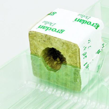 Pacco per ordine per corrispondenza contenente 3 piante in vasi di 8x8x8 cm - Confezione da 200 pz