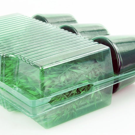 Pacco per ordine postale per 3 piante in vasi ø12x9cm - Confezione da 200 pz