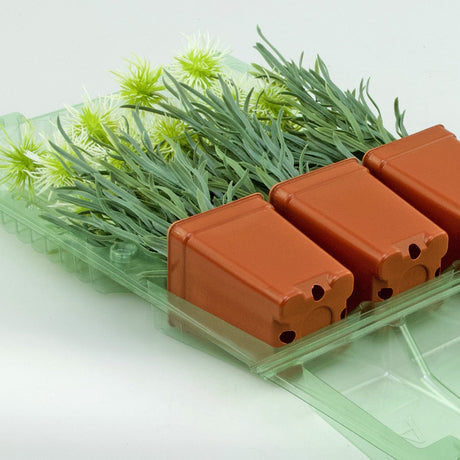 Pacco per ordine per corrispondenza contenente 3 piante in vasi di 7x7x9 cm - Confezione da 150 pz