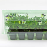 Pacco per ordine per una piantina 310x130x60mm (Modiform Bedding packs 7506, 7508 o 7510).