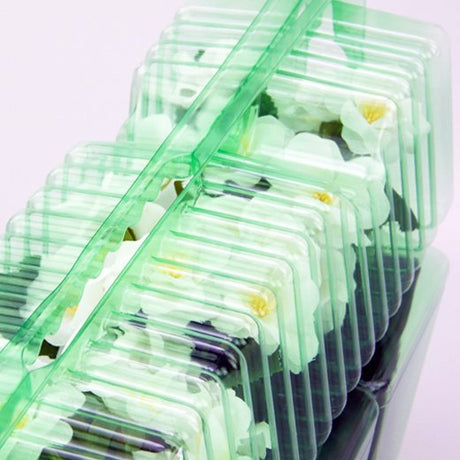Pacco per ordine per corrispondenza contenente 4 piante in vasi di 9x9x10 cm - Confezione da 200 pz