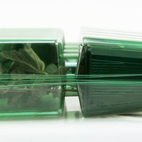 Pacco per ordine per corrispondenza contenente 4 piante in vasi di 7x7x8 cm - Confezione da 200 pz
