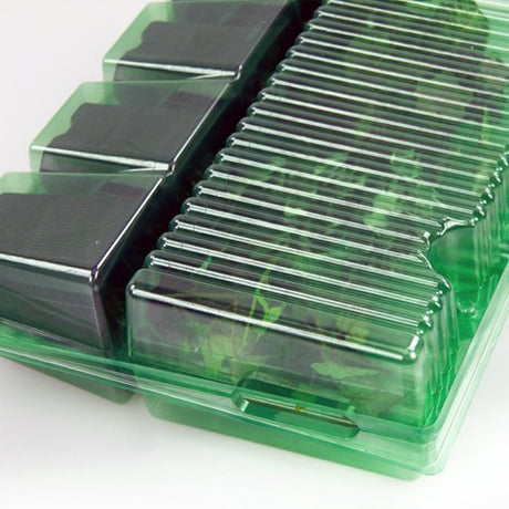Pacco per ordine per corrispondenza contenente 4 piante in vasi di 9x9x10 cm - Confezione da 150 pz