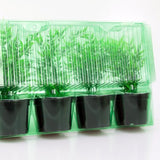 Pacco per ordine per corrispondenza contenente 4 piante in vasi di ø12x9cm.