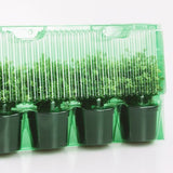 Pacco per ordine per corrispondenza contenente 4 piante in vasi ø12x9cm.
