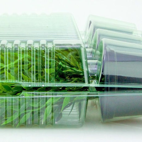 Pacco per ordine per corrispondenza contenente 4 piante in vasi ø9x7cm - Confezione da 150 pz