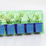 Pacco per ordine per corrispondenza contenente 5 piante in vasi di 7x7x6 cm.