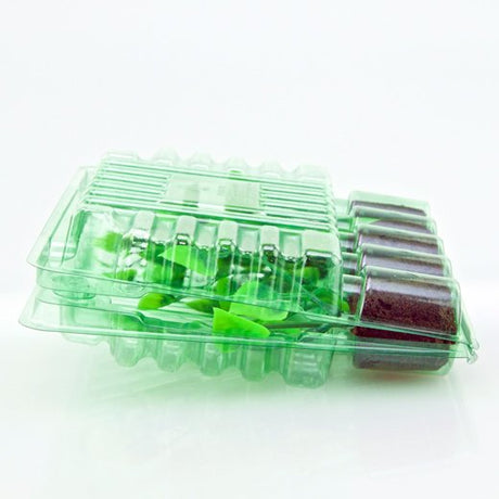 Pacco per ordine postale per 5 tappi ø30x35mm - Confezione da 350 pz