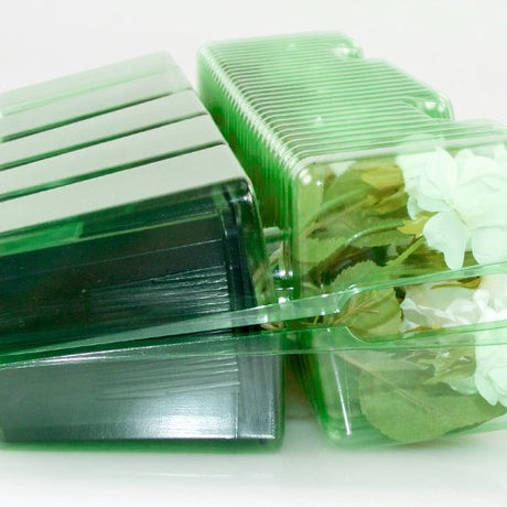 Pacco per ordine per corrispondenza contenente 5 piante in vasi di 9x9x10 cm - Confezione da 125 pz