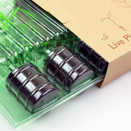 Pacco per ordine postale per 5 tappi ø38x50mm - Confezione da 200 pz