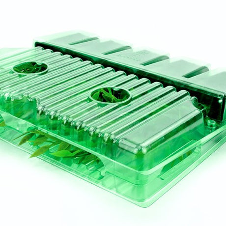 Pacco per ordine postale per 5 vasi 50x50x70mm (o ø50x70mm) - Confezione da 300 pz