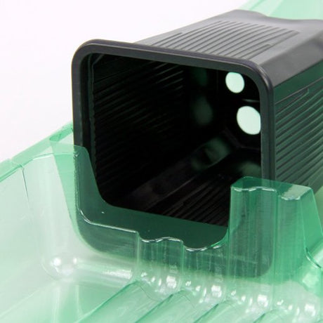 Pacco per ordine per corrispondenza contenente 5 piante in vasi di 7x7x8 cm - Confezione da 125 pz