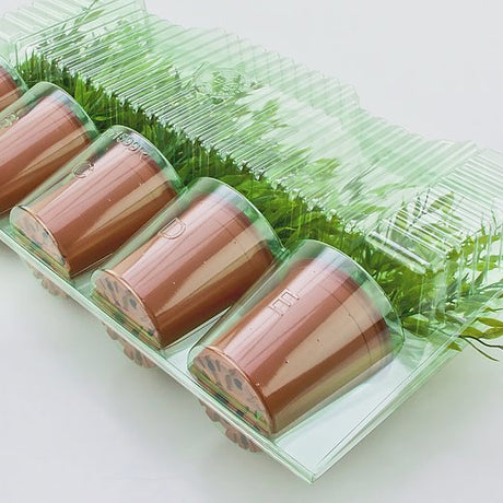 Pacco per ordine per corrispondenza contenente 5 piante in vasi ø9x9cm - Confezione da 100 pz
