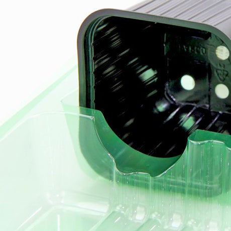 Pacco per ordine per corrispondenza contenente 5 piante in vasi di 7x7x6 cm - Confezione da 125 pz