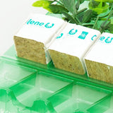 Pacco per ordine postale per 5 tappi 38x38x45mm (cubetti di Rockwool per la coltivazione idroponica).