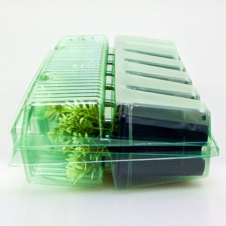 Pacco per ordine per corrispondenza contenente 6 piante in vasi di 7x7x8 cm - Confezione da 200 pz