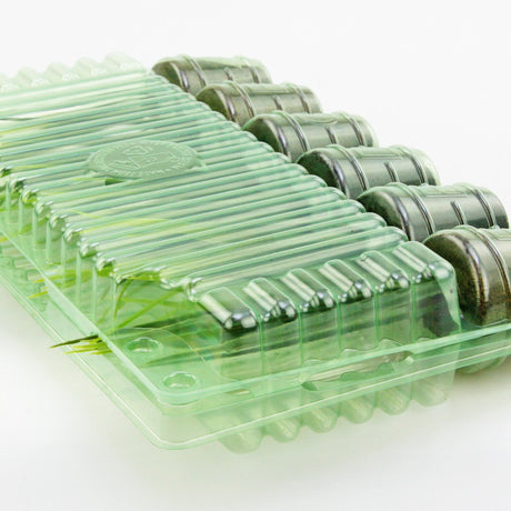 Pacco per ordine postale per 6 tappi ø50x50mm (conico) - Confezione da 200 pz