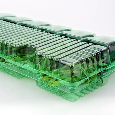 Pacco per ordine per corrispondenza contenente 6 piante in vasi di 7x7x6 cm - Confezione da 125 pz