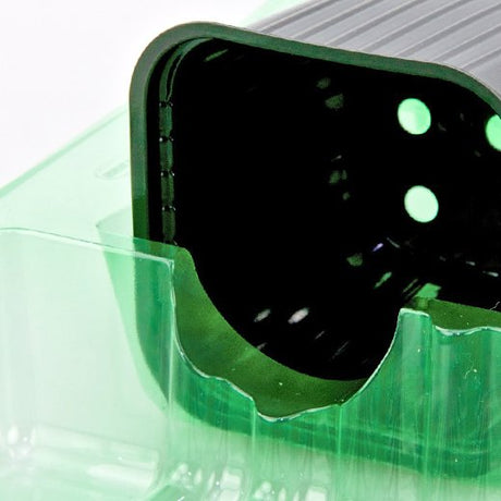 Pacco per ordine per corrispondenza contenente 6 piante in vasi di 7x7x6 cm - Confezione da 125 pz