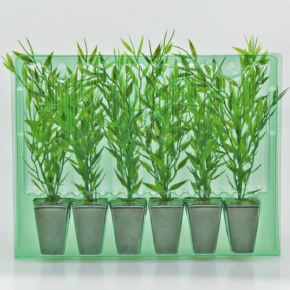 Pacco per ordine postale per 6 vasi 40x40x55mm (conico).
