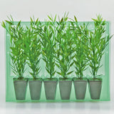 Pacco per ordine postale per 6 vasi 40x40x55mm (conico).