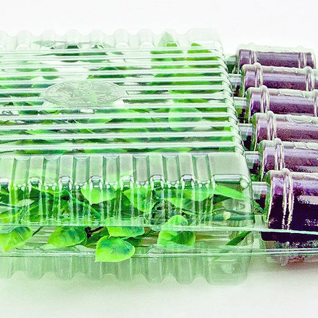 Pacco per ordine postale per 6 tappi ø38x50mm - Confezione da 250 pz
