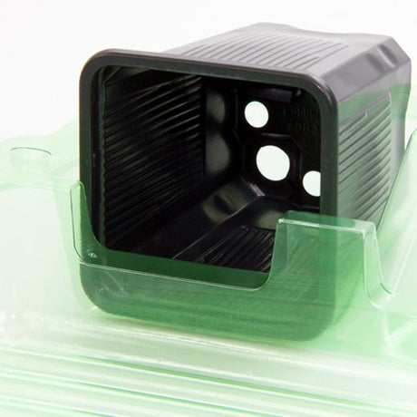 Pacchetto per ordine per corrispondenza contenente 6 piante in vasi di 7x7x8 cm - Confezione da 200 pz