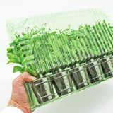 Pacco per ordine postale per 6 tappi ø60x60mm (conico).
