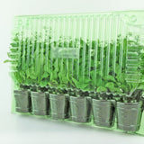 Pacco per ordine postale per 6 tappi ø60x60mm (conico).