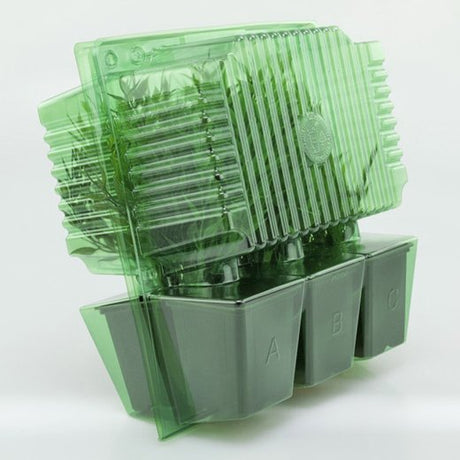 Paket für Versandbestellungen mit 6 Pflanzen (2x3) in Töpfen von 9x9x10 cm.
