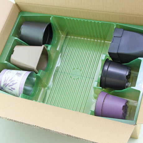 Aprire il vassoio di trasporto (dimensioni del vassoio circa 58,5x38,5x12,5 cm) per 6 piante in vaso di diverse dimensioni - Confezione da 75 pz
