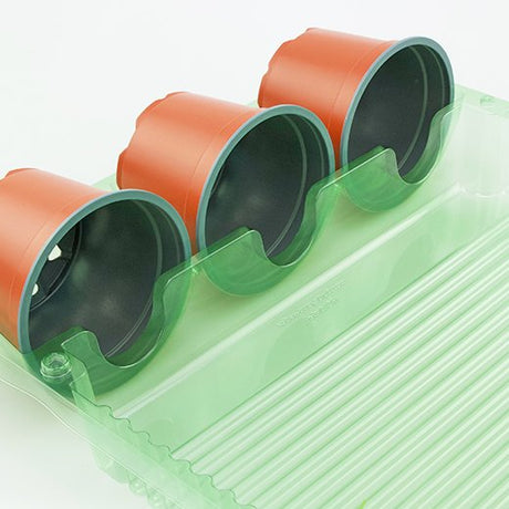Un pacco di mezza spedizione per 6 piante in un vaso di ø13x10cm - Confezione da 125 pz