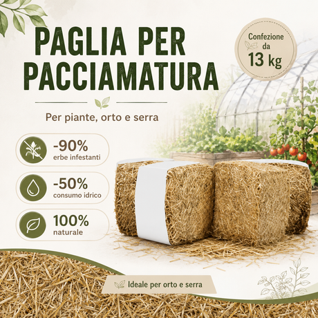 Paglia per pacciamatura piante orto e serra - 13 kg