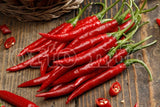 Peperoncino piccante HOT Cayenna corto Cheyenne F1 - 1 pianta v.10 cm - Orto Mio Orto Mio