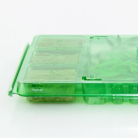 Pacchetto per cassette postali per 6 tappi con pulsanti - Confezione da 200 pz