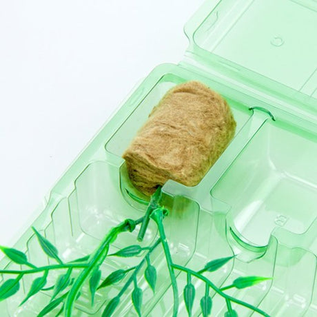 Pacchetto per cassette postali per 6 tappi con pulsanti - Confezione da 200 pz