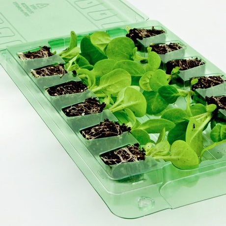 Pacco per cassetta postale contenente 12 mini-plug con pulsanti - Confezione da 200 pz