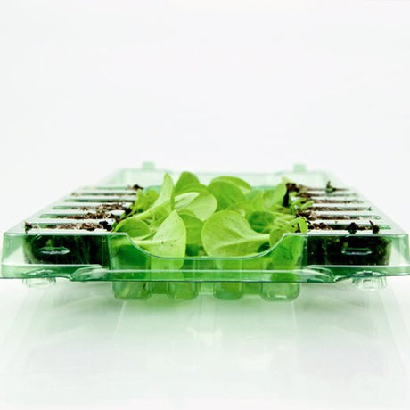 Pacco per cassetta postale contenente 12 mini-plug con pulsanti - Confezione da 200 pz