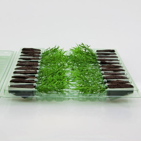 Pacchetto per cassetta postale per 22 tappi 25x25x43mm (conico) - Confezione da 125 pz
