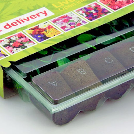 Pacco per ordine postale per 5 tappi ø38x50mm - Confezione da 125 pz
