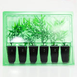 Pacco per ordine postale per 6 tappi 4x4x6cm (conico).