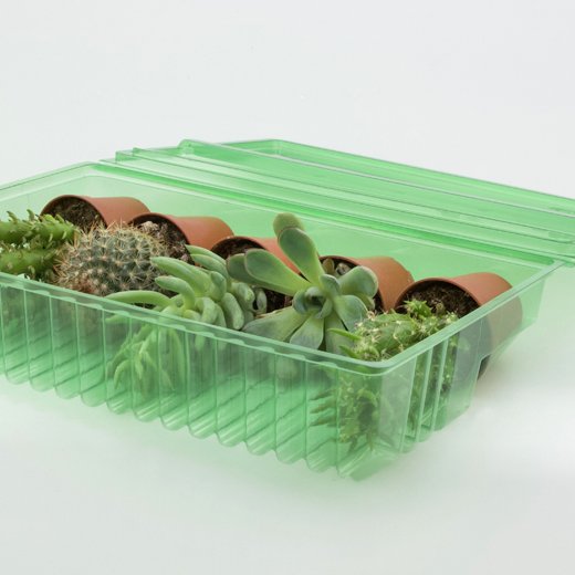 Pacco per ordine per 5 tappi ø55x60mm (conico) o vasi da 55 mm (KUMA 55, vasi a rete idroponici).